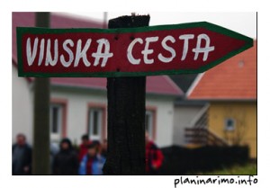 Vinska cesta