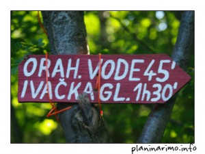 Križanje