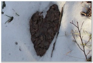 20141214_papuk_mala