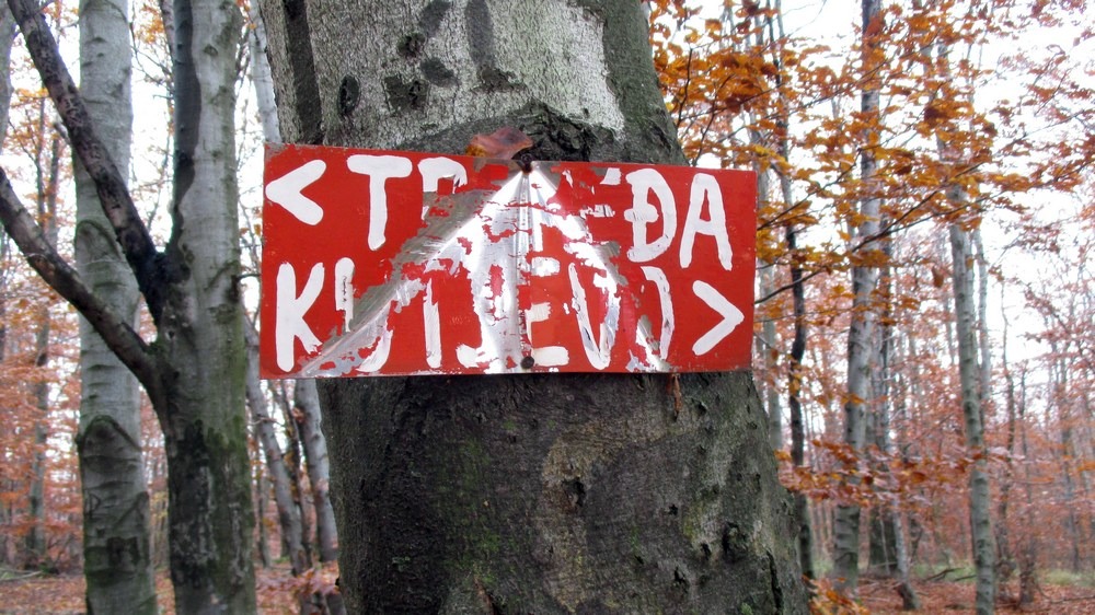 20141109_krndija_008